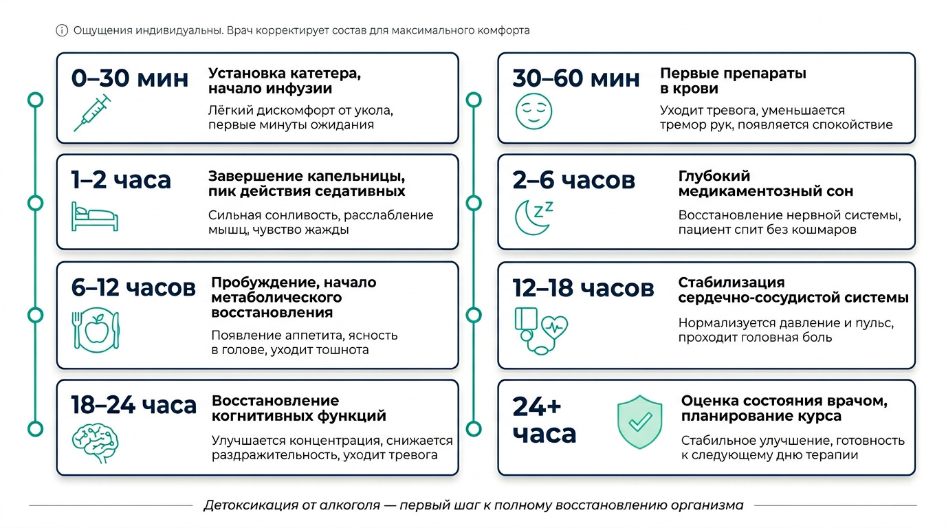 Почасовой разбор самочувствия при детоксикации от алкоголя: от 0 минут до 24 часов. Инфографика показывает этапы очищения — установка капельницы, снятие тревоги, нормализация сна, восстановление давления и когнитивных функций.